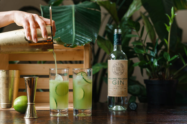 Willing to Learn Gin