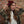 Nova Scotia Spirit Co. - Classic Logo Toque