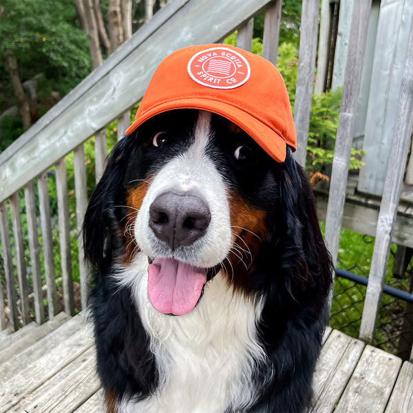 Nova Scotia Spirit Co. Dad Hat